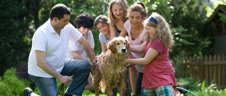 family in the garden with a golden retriever dog